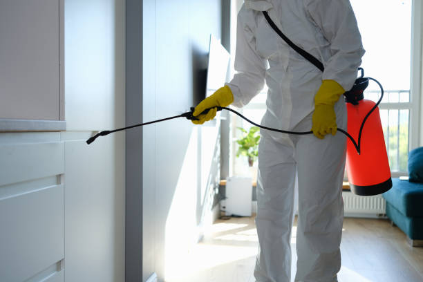 Best Affordable Mold Removal  in Fall River, MA