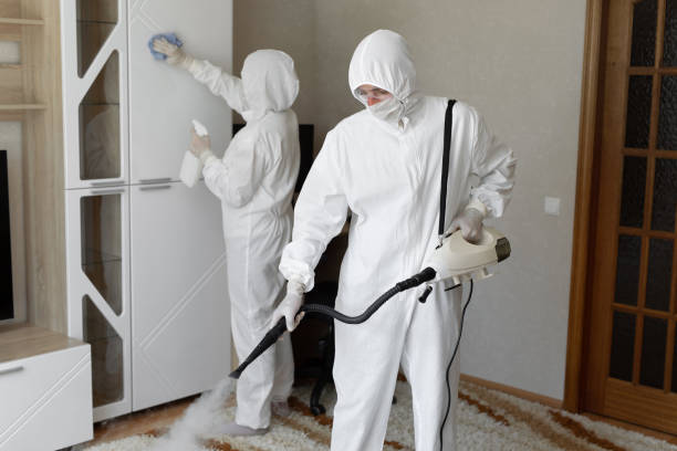 Best Mold Remediation  in Fall River, MA